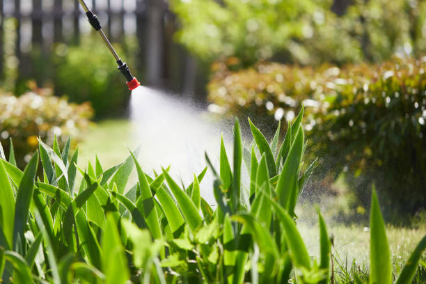 24/7 Emergency Mosquito Control experts in Ko Olina, HI